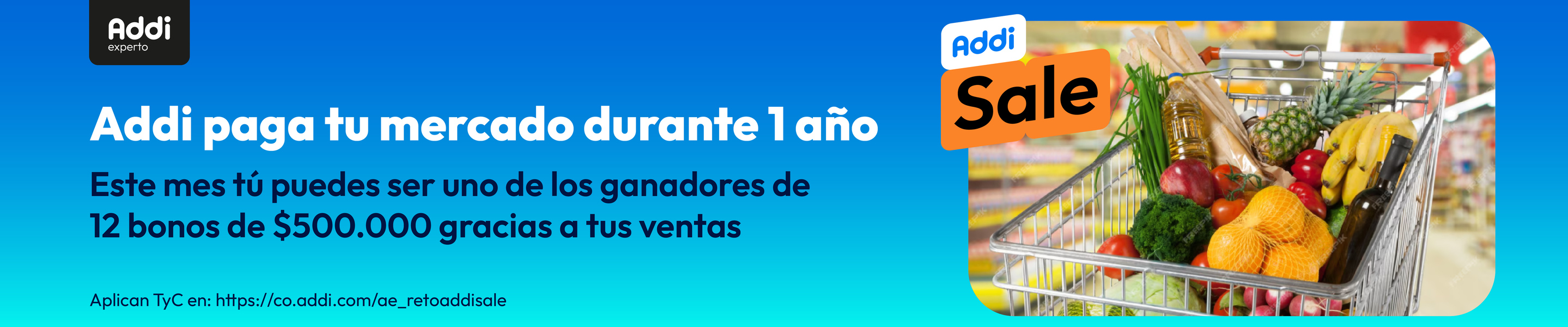 Reto Patineta